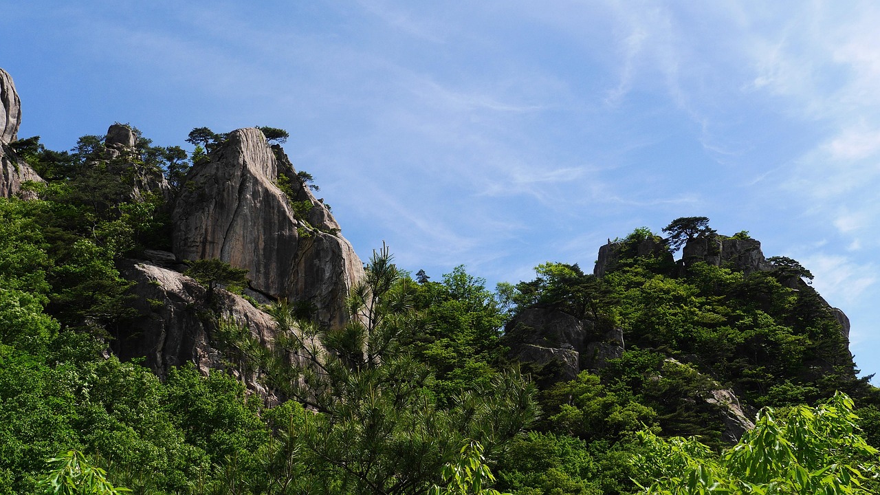 박완주 전 의원의 성추행 사건과 그 의미: 법적 결과와 사회적 반향 박완주 의원이 국회에서 발언하는 모습과 청중의 반응