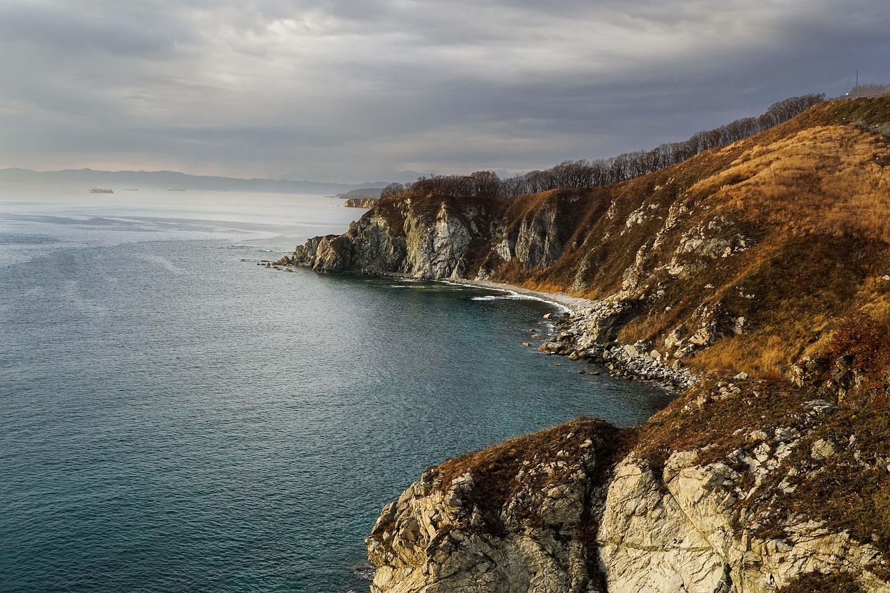 다원시스의 개념을 설명하는 인포그래픽 이미지와 관련된 그래프와 도표