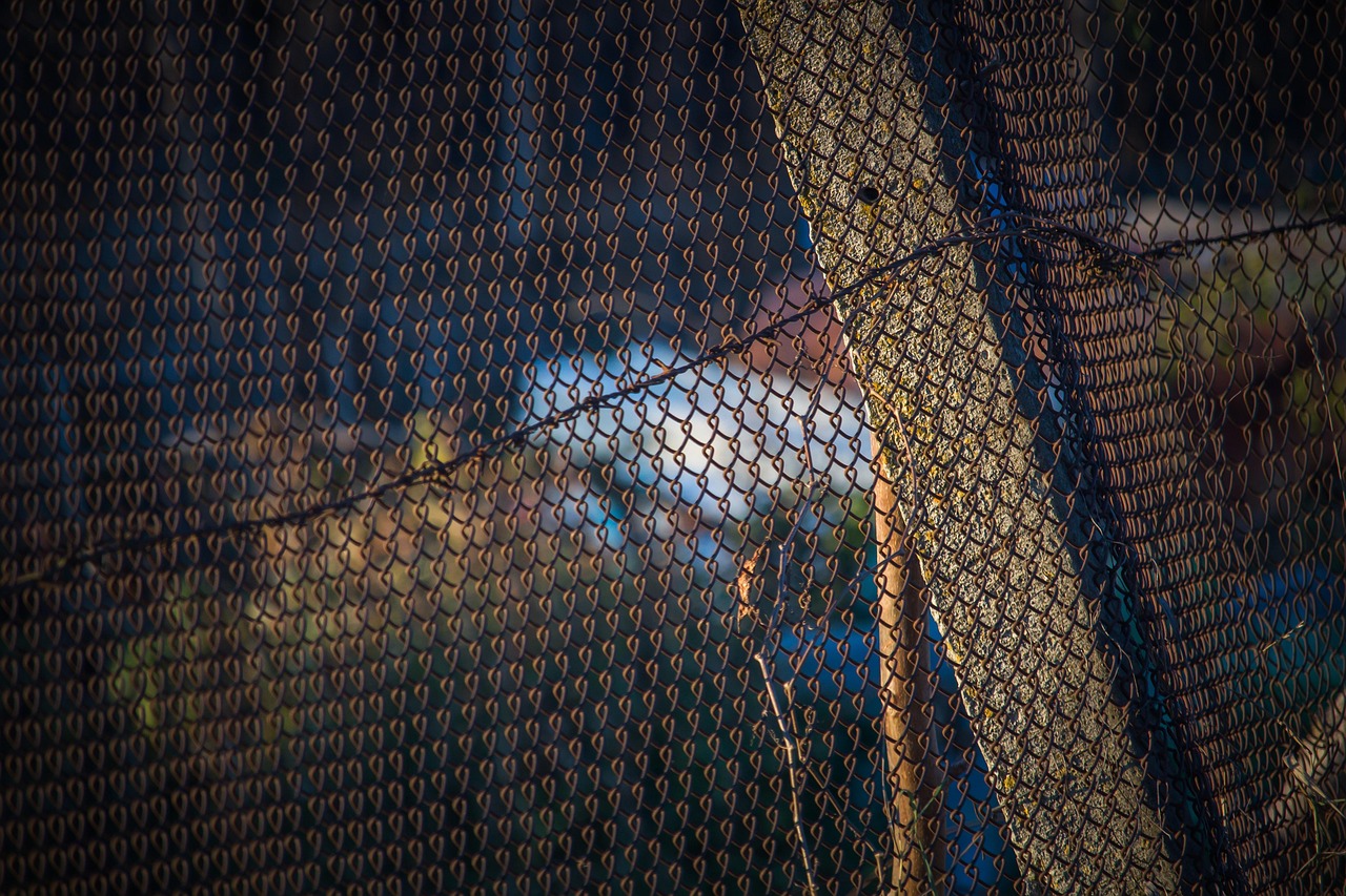 스타링크 위성이 지구를 돌며 인터넷 신호를 전달하는 모습