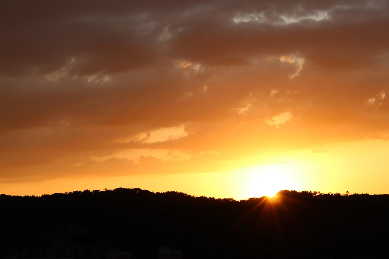 문진석의 활동을 보여주는 사진, 정치 행사에서 발언하는 모습