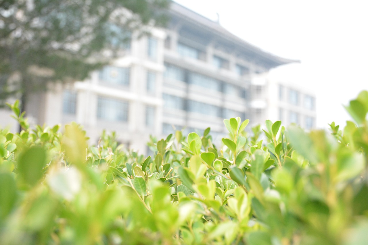 부경대 캠퍼스의 아름다운 풍경과 학생들이 공부하는 모습