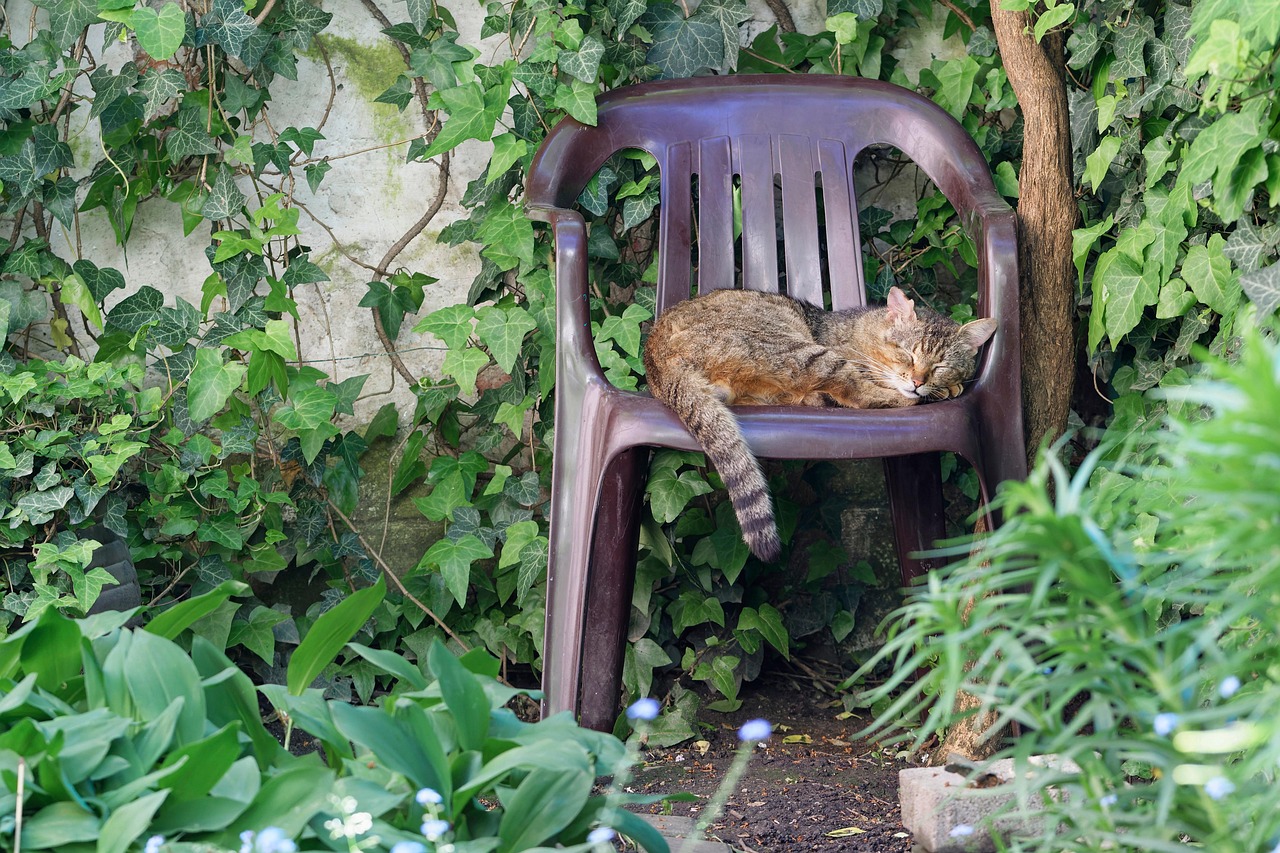 영화 감독이자 배우인 Rob Reiner가 영화 촬영 현장에서 미소 짓고 있는 모습