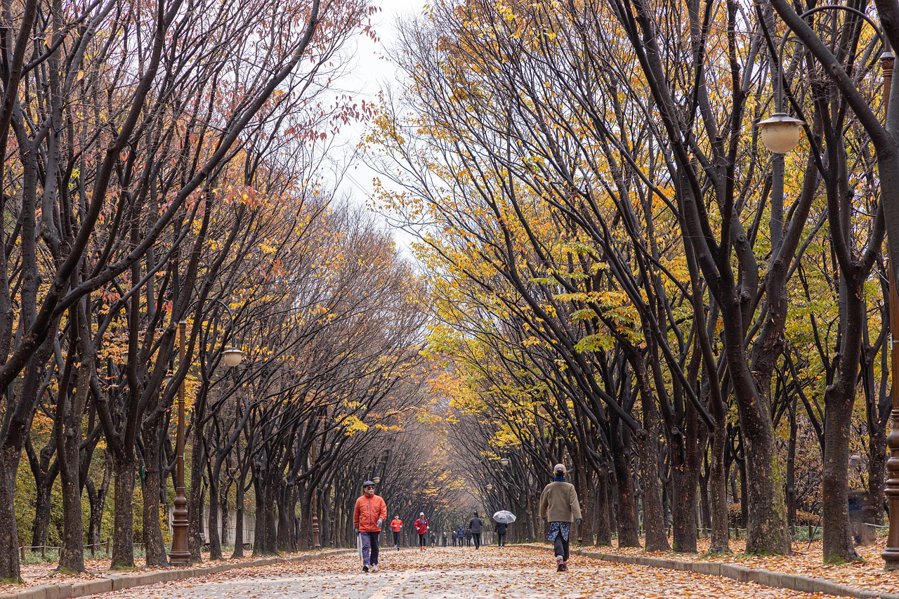 가천대 길병원과 장애 청년 고용사업장 가천누리의 의미 있는 11년 가천대 캠퍼스 전경과 학생들이 공부하는 모습이 담긴 이미지