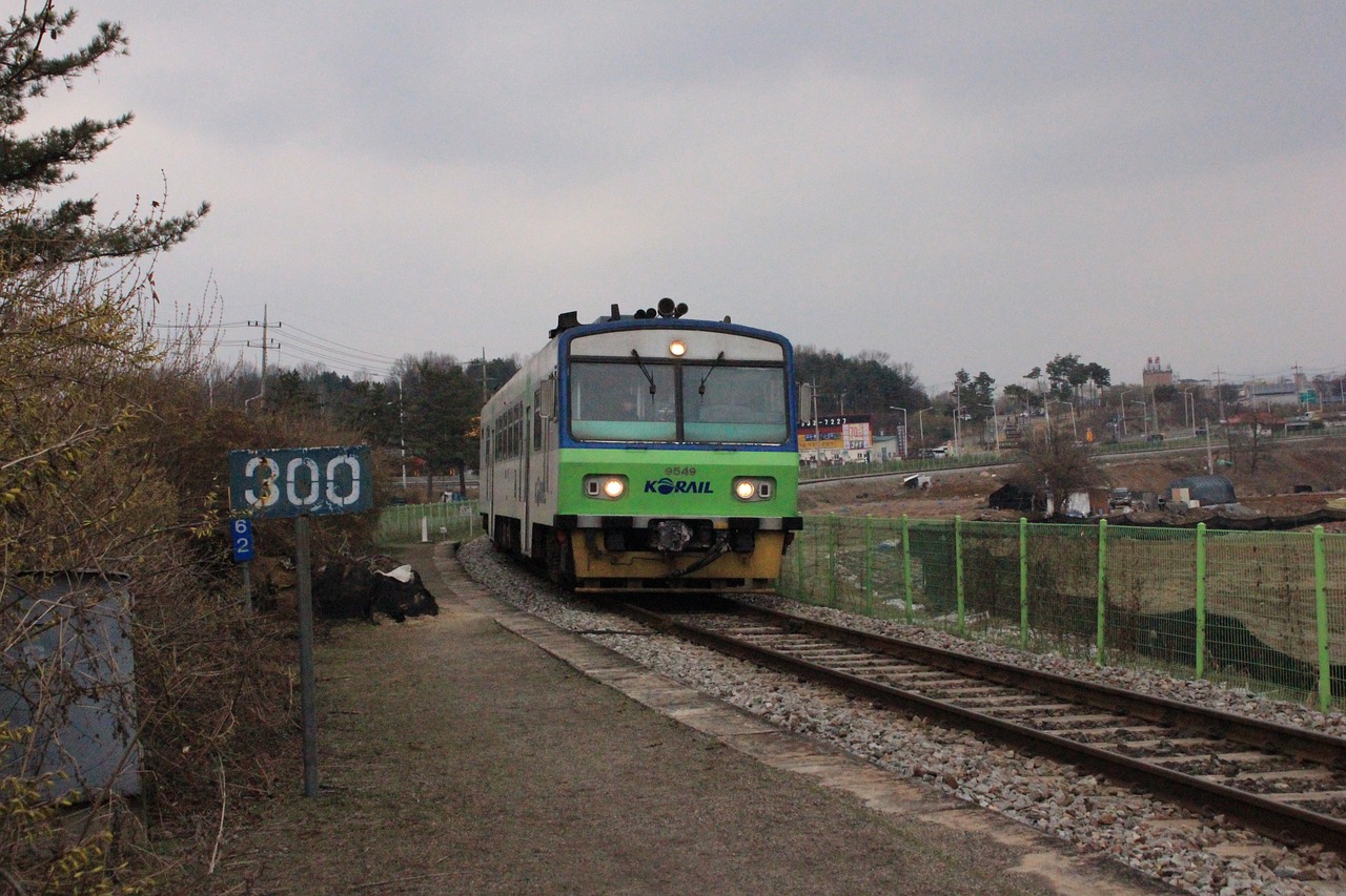정철원 작가의 책을 읽고 있는 모습과 그의 작품이 나열된 책장