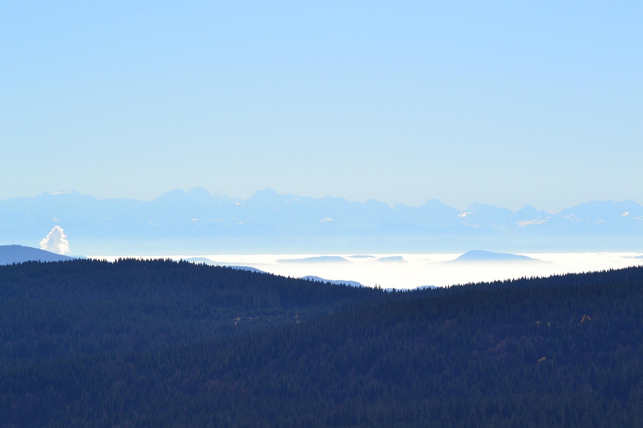 우인성에 대한 연구 결과를 발표하는 학자의 모습과 연구 자료