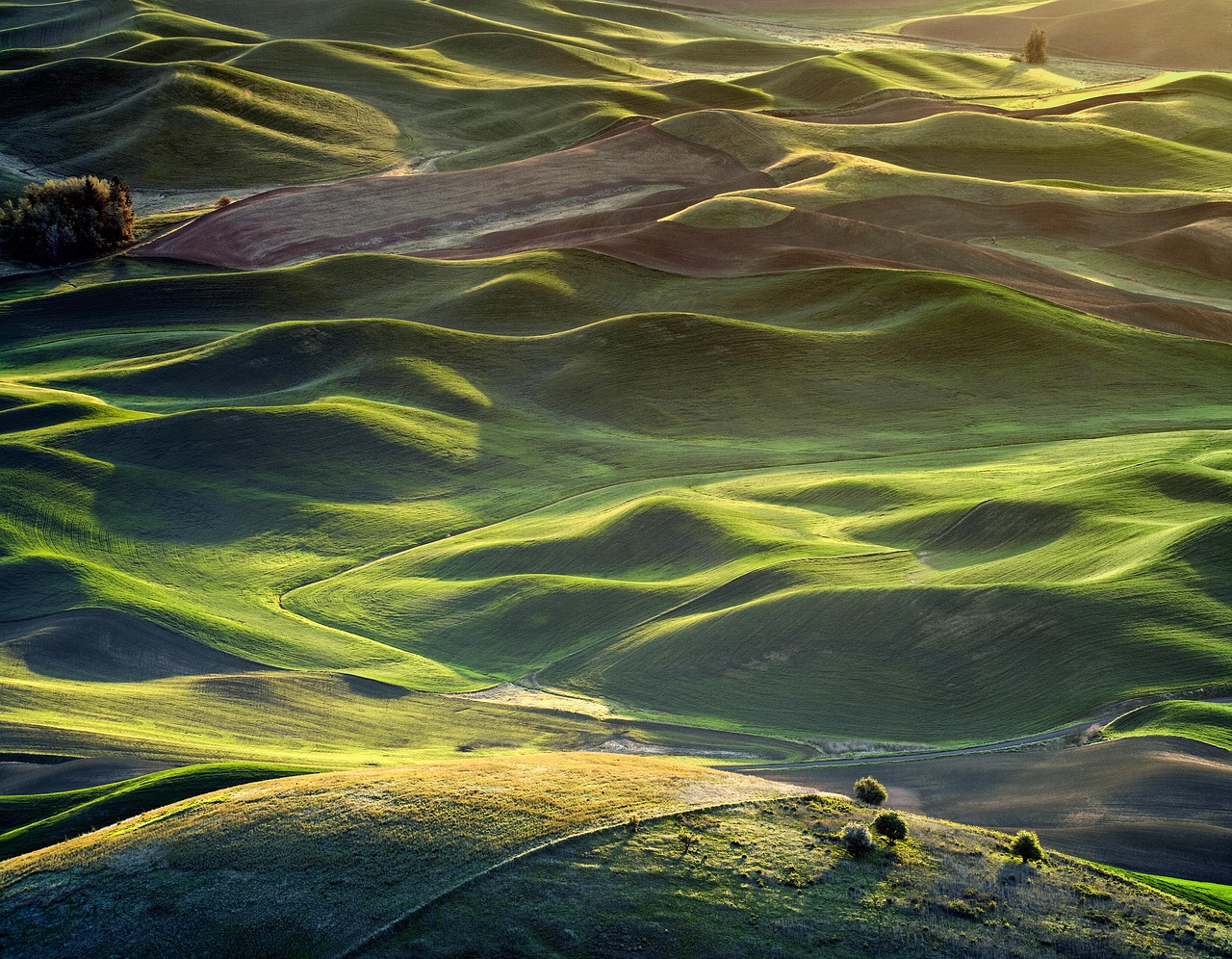 류시원이 무대에서 열정적으로 노래하는 모습, 팬들의 환호 속에서
