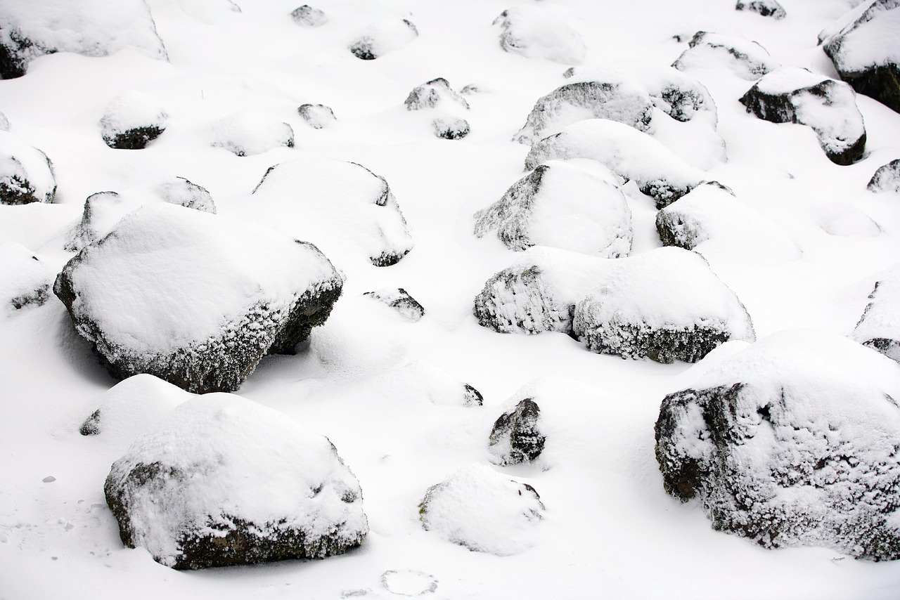 맑은 물 위에 떠 있는 얼음 조각들이 반짝이는 모습
