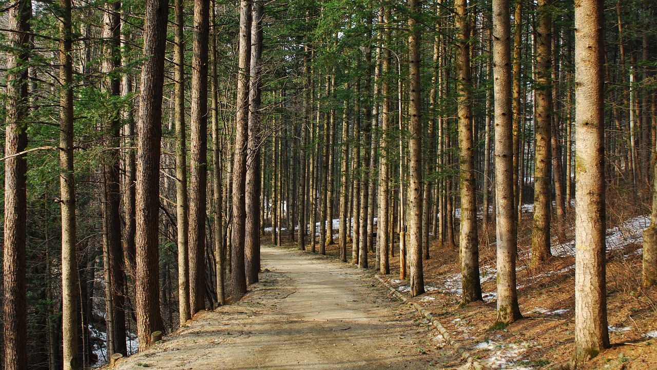 우즈베키스탄 u-23 대 한국 u-23 경기에서 선수들이 열띤 경기를 펼치는 모습