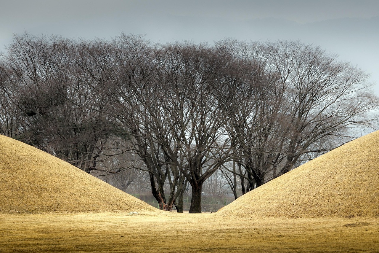 야닉 시너의 최신 작품을 감상하는 관람객들의 모습