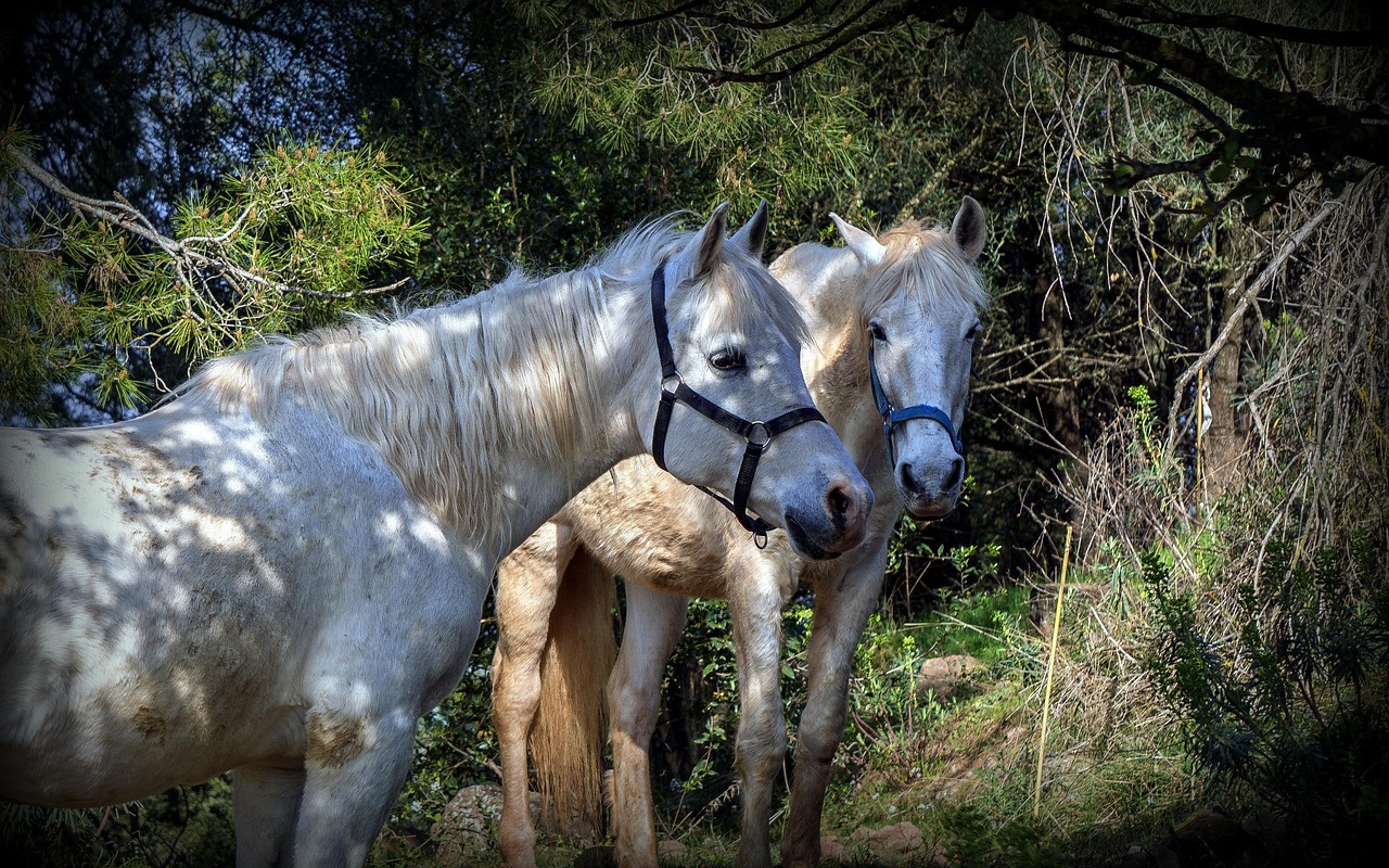 백대현이 무대에서 공연하는 모습, 열정적으로 관객과 소통하는 장면