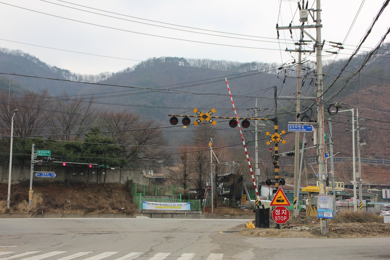 정철원 작가의 책을 읽고 있는 모습과 그의 작품이 나열된 책장