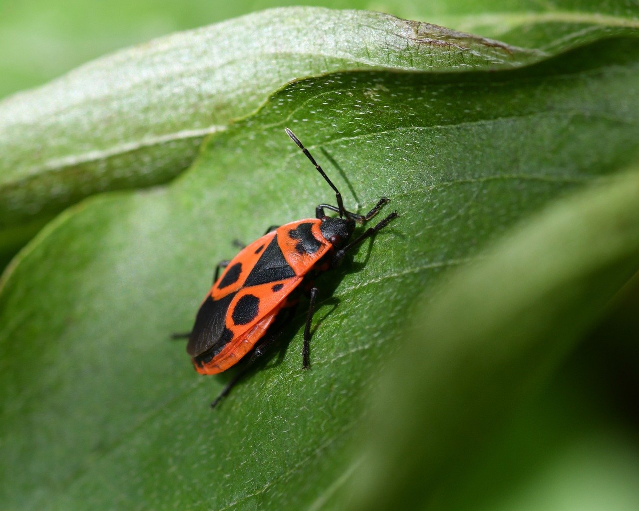홍익표 의원이 국회에서 정책 발표하는 모습으로, 청중을 향해 설명하는 장면