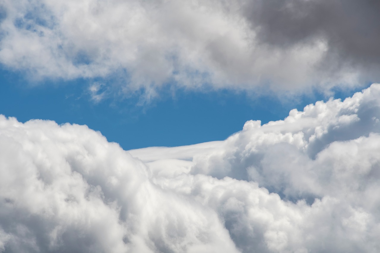 전태풍의 강한 바람과 비가 몰아치는 모습을 담은 풍경 사진