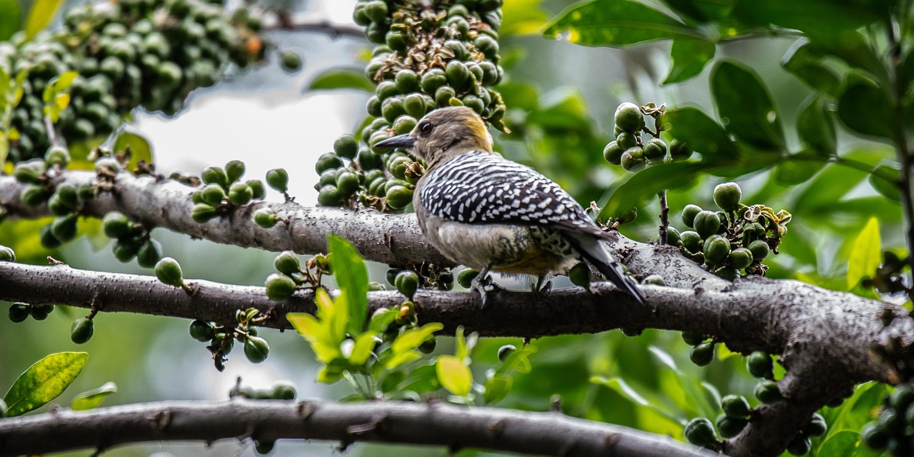 노바크 조코비치가 테니스 코트에서 강력한 서브를 날리는 모습