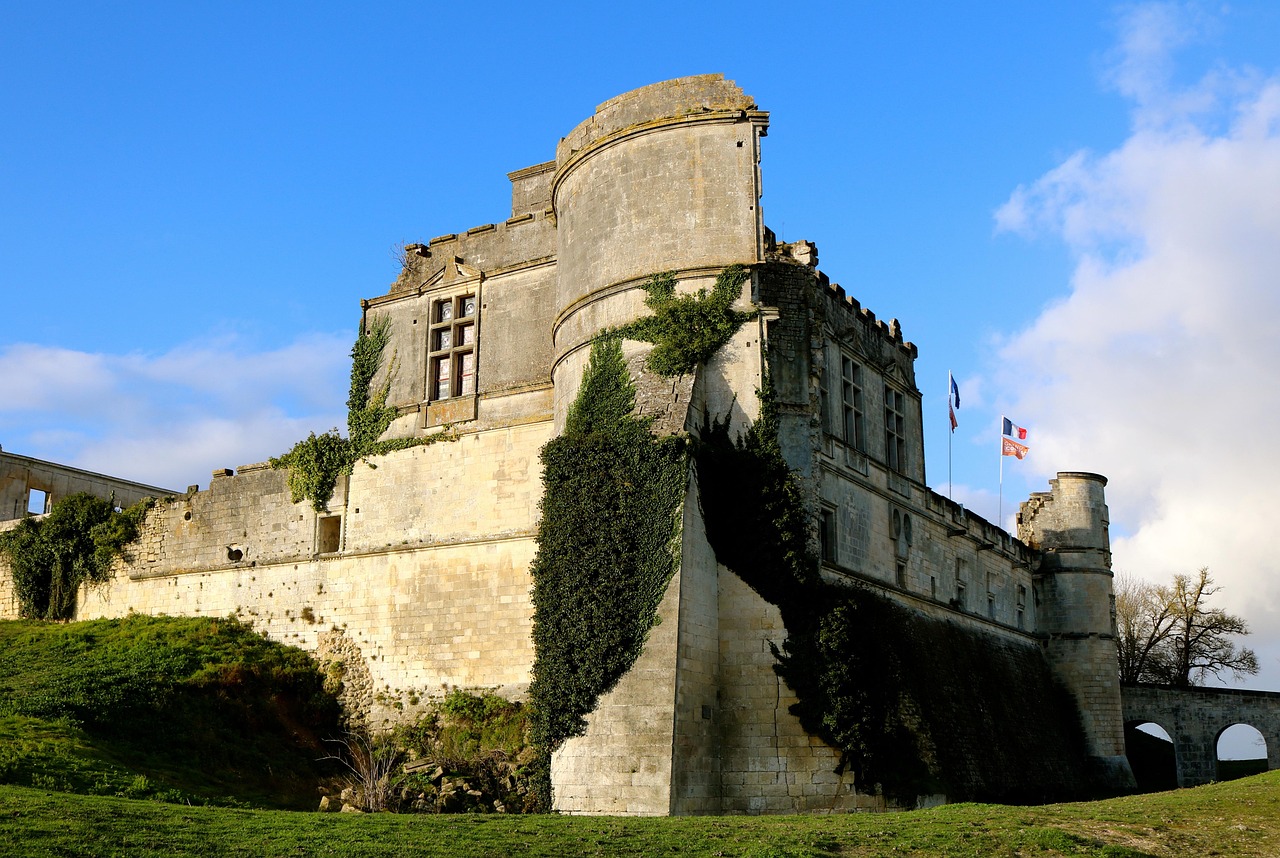 필랑트의 다양한 기능을 소개하는 사용자 인터페이스 화면