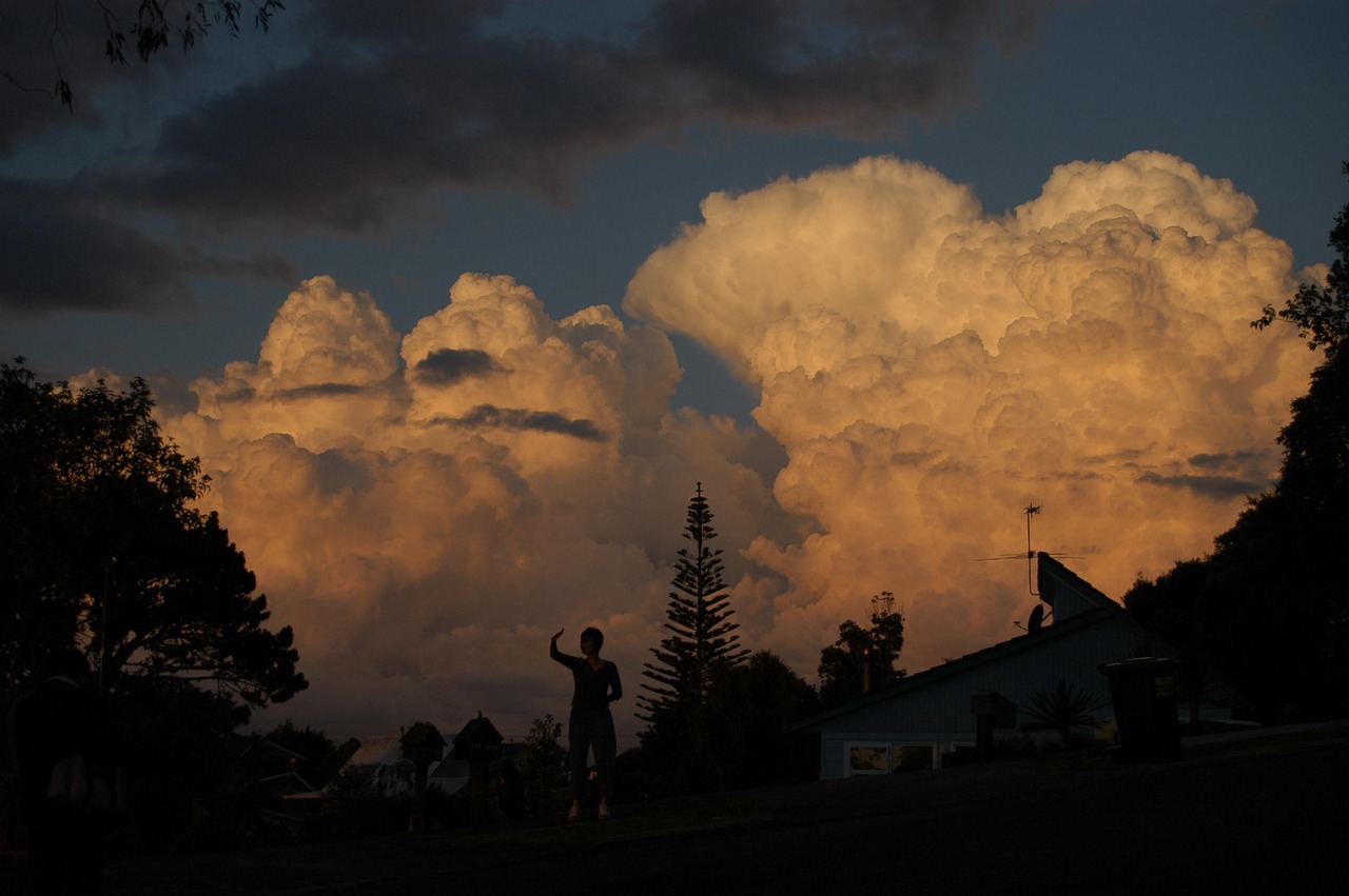 인도와 뉴질랜드의 스포츠 대결: 크리켓과 하키에서의 갈등과 열정 인도와 뉴질랜드의 크리켓 경기를 관람하는 팬들의 열띤 응원 모습