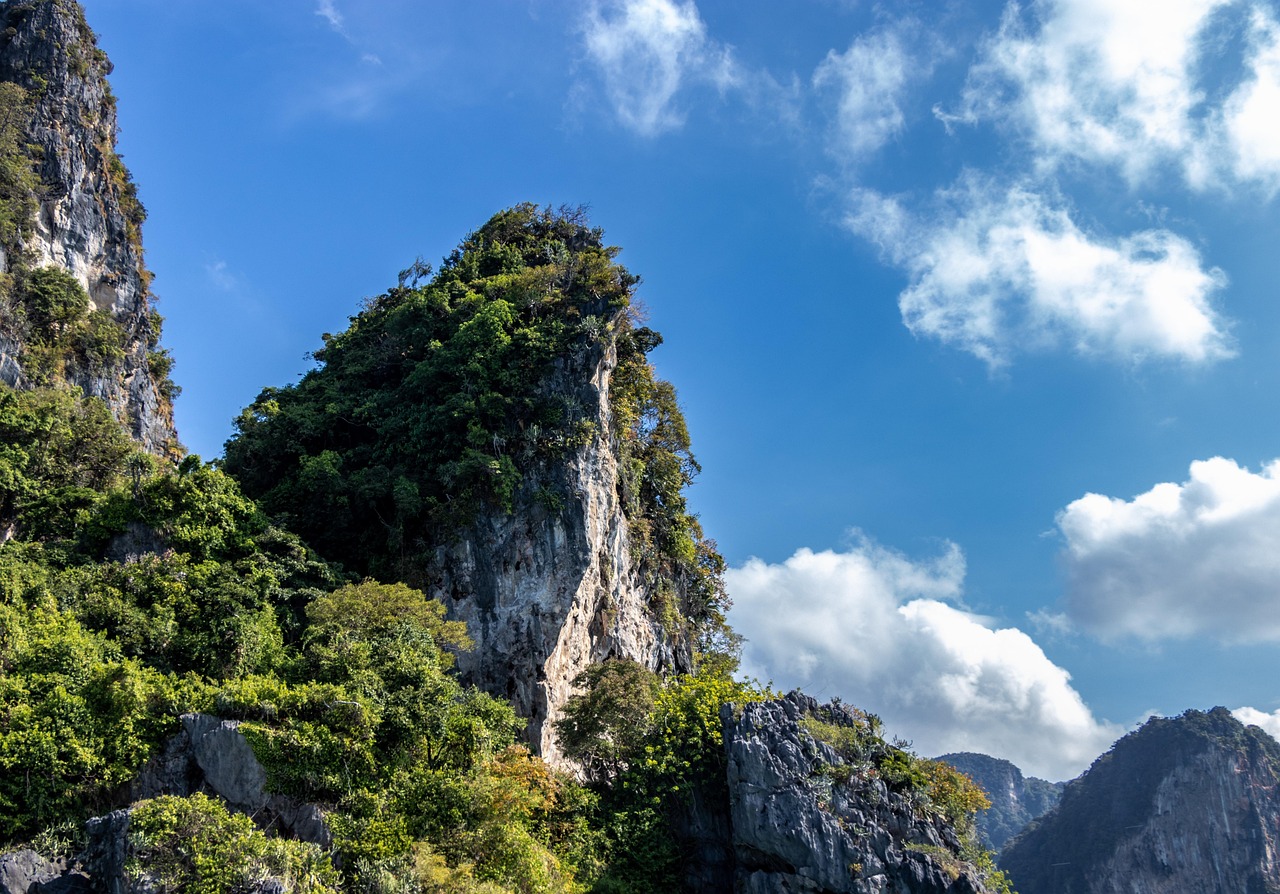 홈택스 웹사이트에서 세금 신고를 진행하는 사용자 모습