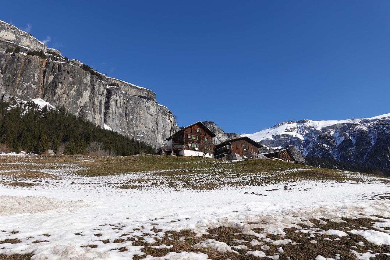 연말정산 간소화 절차를 설명하는 인포그래픽 이미지