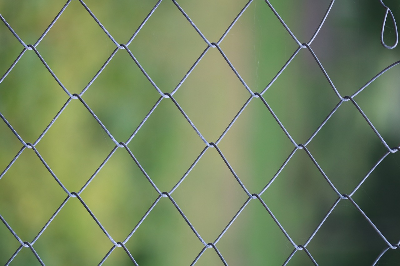 강선우 의원의 공천헌금 의혹과 정치적 파장 강선우가 정치 행사에서 연설하며 지지자들과 소통하는 모습