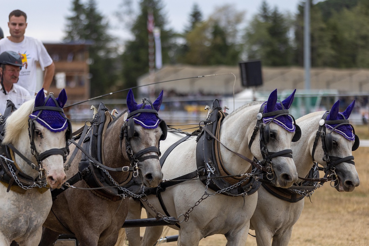 아이유가 무대에서 팬들과 소통하며 감미로운 노래를 부르는 모습