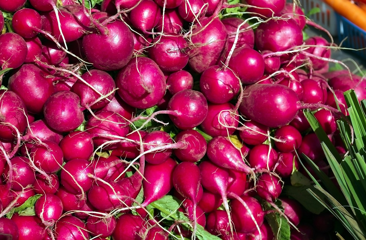 에릭 데인, 그의 삶과 유산: 매력의 이면을 탐구하다 드라마 '그레이 아나토미'에서 에릭 데인(Eric Dane)이 등장하는 장면