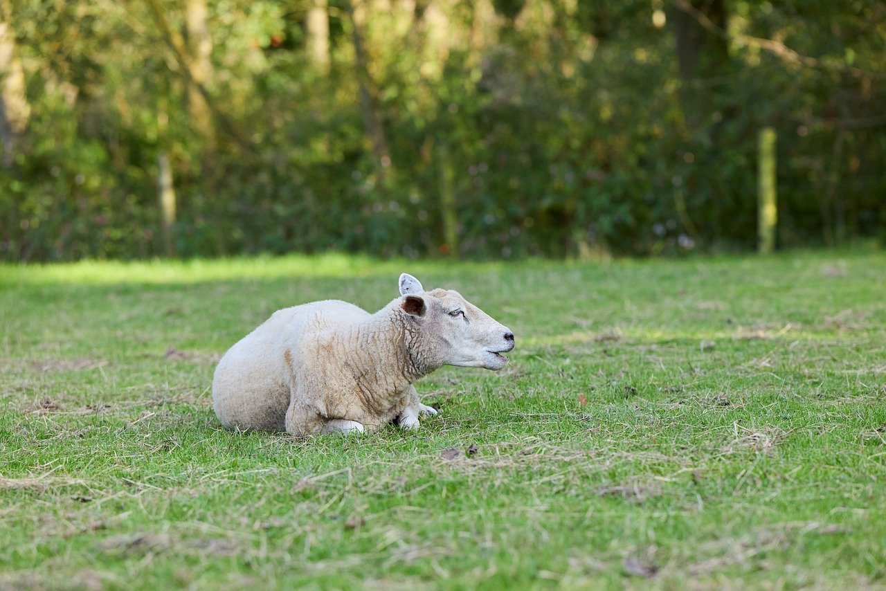장동혁, 보수의 미래를 결정짓는 중대한 선택의 기로에 서다 장동혁이 무대에서 열정적으로 공연하는 모습, 팬들이 환호하는 장면