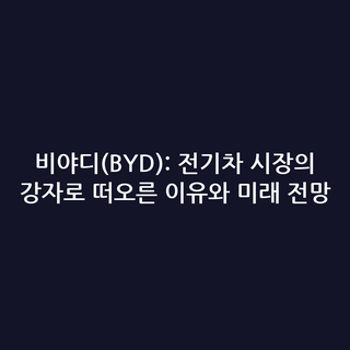 비야디(BYD): 전기차 시장의 강자로 떠오른 이유와 미래 전망