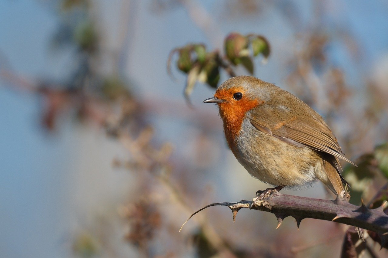 명조 서체로 쓰여진 아름다운 한글 문구가 담긴 책 페이지