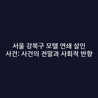 서울 강북구 모텔 연쇄 살인 사건: 사건의 전말과 사회적 반향