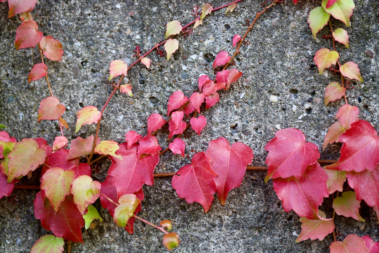 렌 대 PSG 경기에서 선수들이 치열한 경쟁을 벌이고 있는 장면
