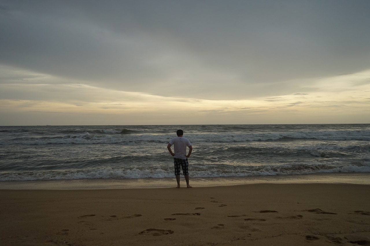 마음의 빛을 찾는 여정, 넷플릭스 영화 '파반느' 리뷰 아름다운 파반느의 전통 요리를 즐기는 가족의 모습