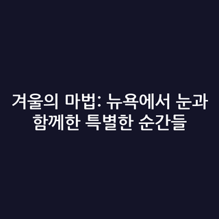 겨울의 마법: 뉴욕에서 눈과 함께한 특별한 순간들