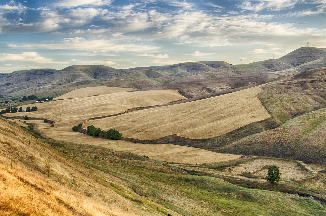 그래미 어워드 2026에서 수상자를 발표하는 화려한 무대의 모습