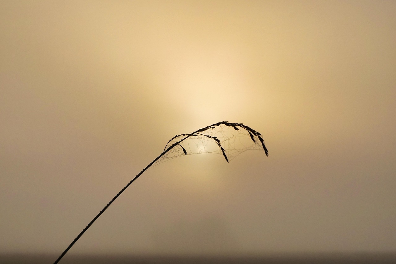 내일 날씨 예보를 확인하는 스마트폰 화면과 일기 예보 아이콘
