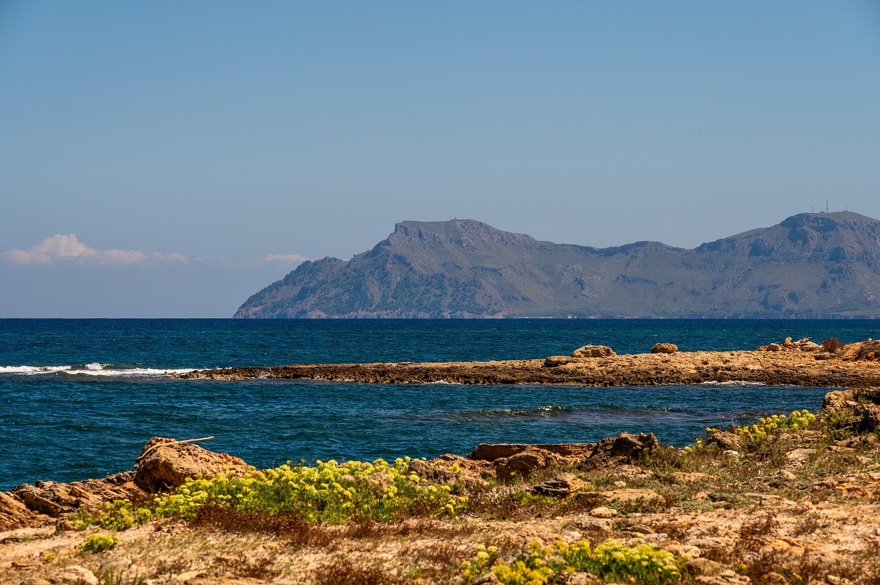 바르셀로나 대 마요르카 경기에서 선수들이 열정적으로 경쟁하는 모습