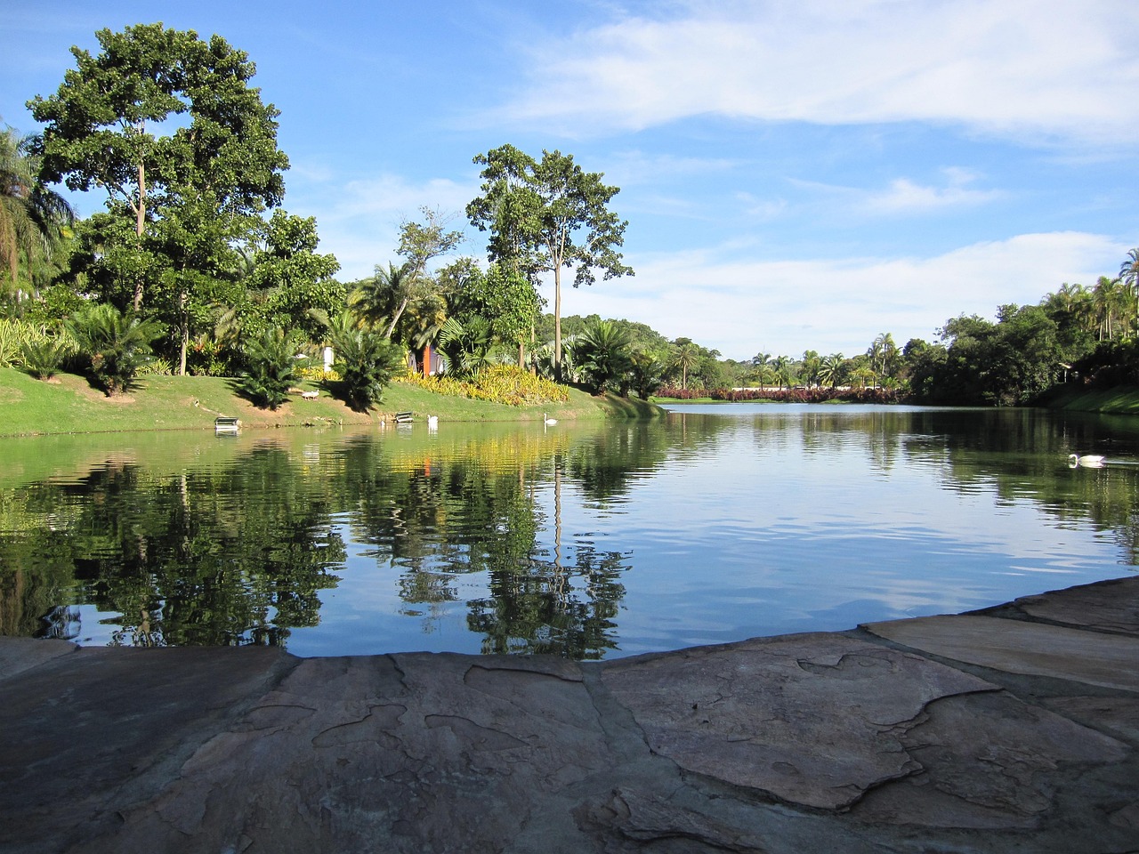 김인호 산림청장 직권면직 사건의 전말과 그 의미 김인호가 강연 중 청중과 소통하며 지식을 나누는 모습