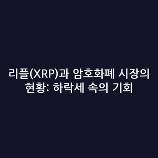 리플(XRP)과 암호화폐 시장의 현황: 하락세 속의 기회