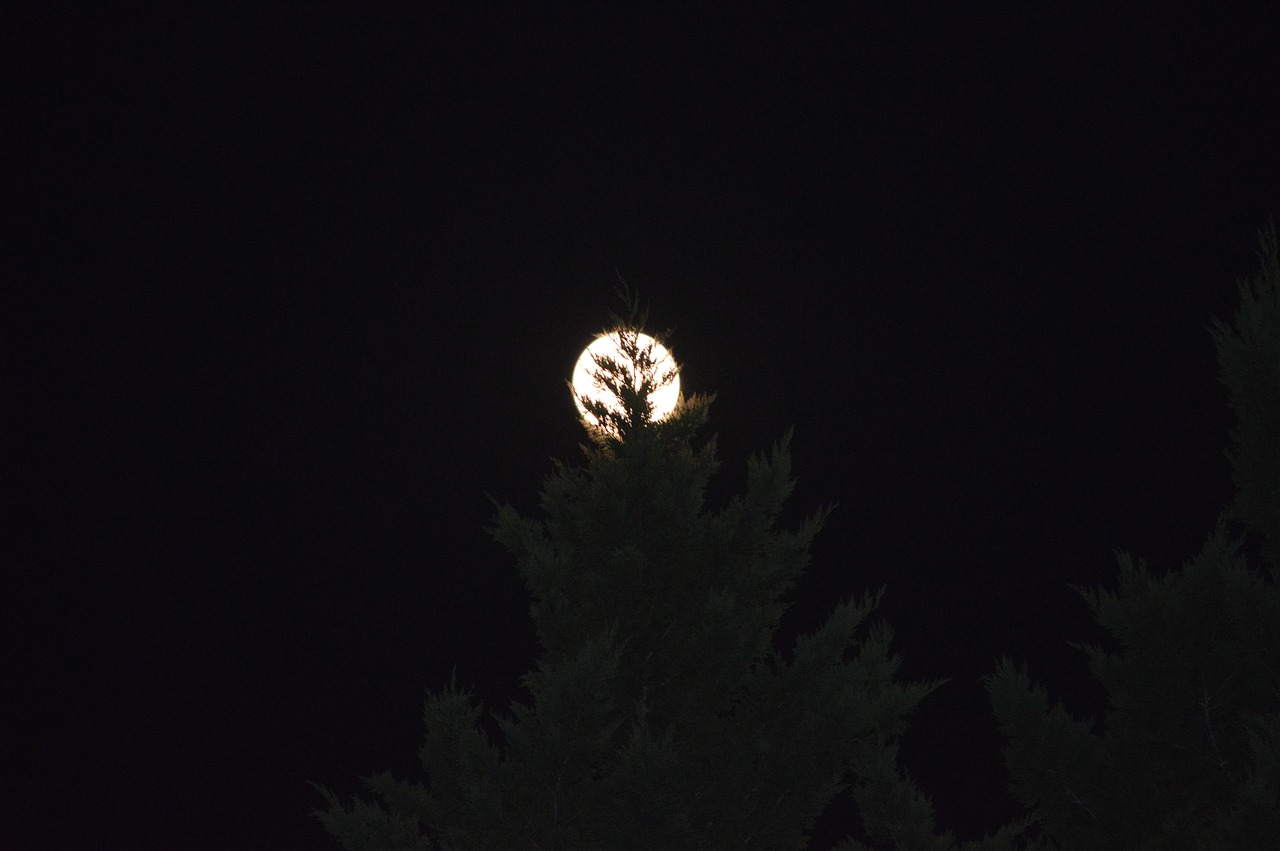 롯데와 NC의 첫 낙동강 더비, 뜨거운 승부의 순간들 롯데 대 NC 경기에 선수들이 치열한 경합을 펼치는 장면