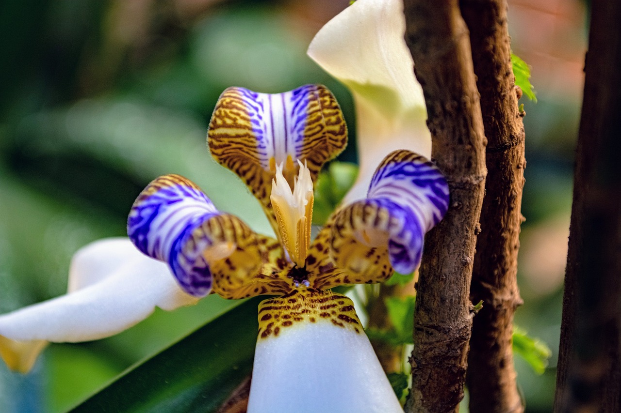 넷플릭스와 BTS의 특별한 만남, ARIRANG 라이브의 기대감 넷플릭스 스트리밍 서비스에서 인기 있는 영화와 TV 프로그램을 시청하는 모습