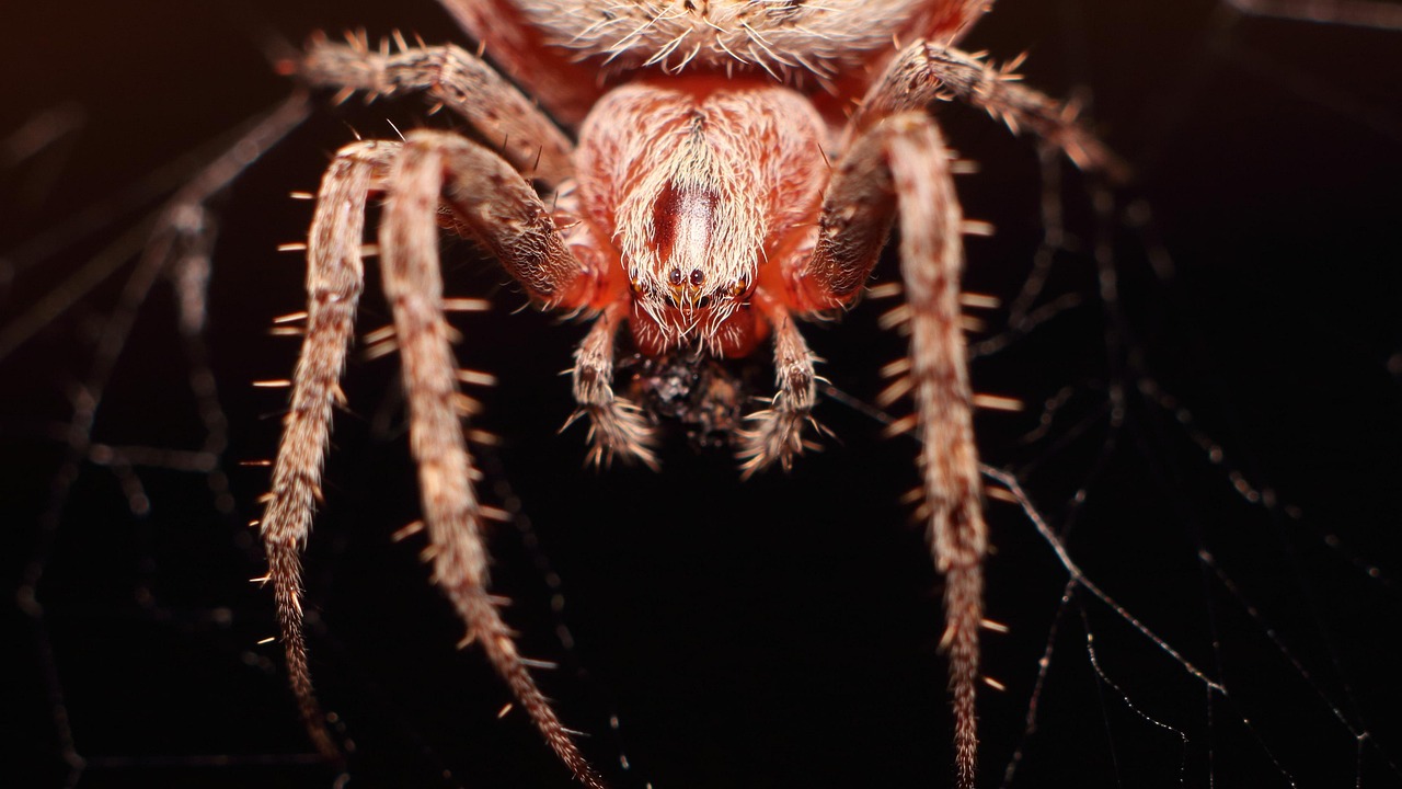 스파이더맨 브랜드 뉴 데이 이벤트에서 다양한 캐릭터와 팬들이 즐기는 모습