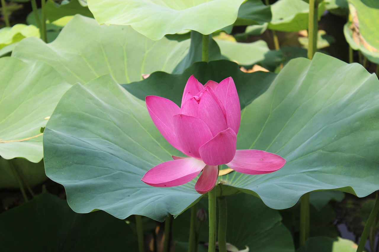 이하이와 도끼의 새로운 시작: 듀엣곡과 사랑의 이야기 이하이가 무대에서 감성적인 노래를 부르고 있는 모습