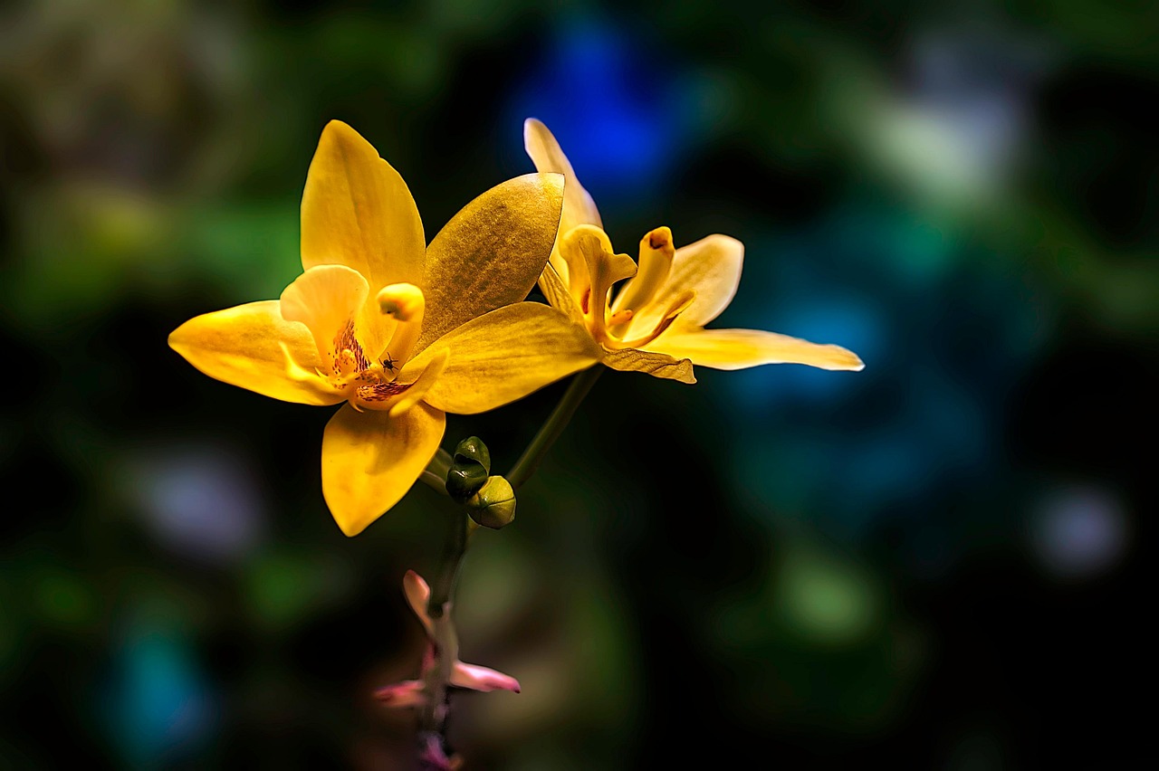 송성문, 부상 딛고 다시 실전 무대에 나선 그의 이야기 송성문을 배경으로 한 전통 한옥의 아름다운 풍경 사진