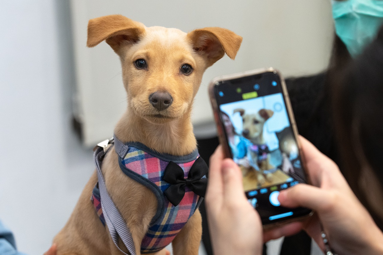 삼성 채용 정보를 탐색하며 노트북을 사용하는 젊은 직장 지원자 모습