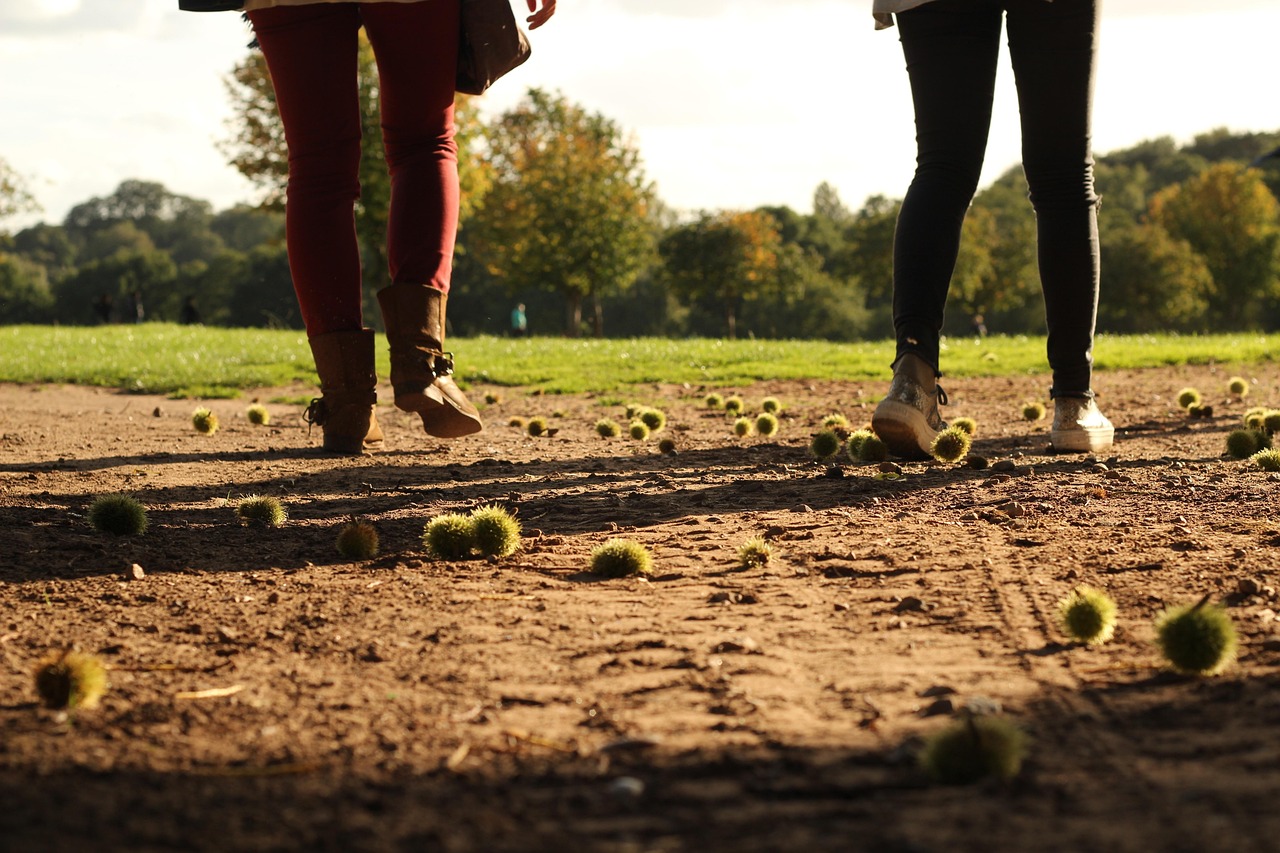 토트넘 대 노팅엄 포레스트: 강등 위기 속의 운명의 맞대결 토트넘 대 노팅엄 포레스트 경기에서 선수들이 공을 다투는 장면