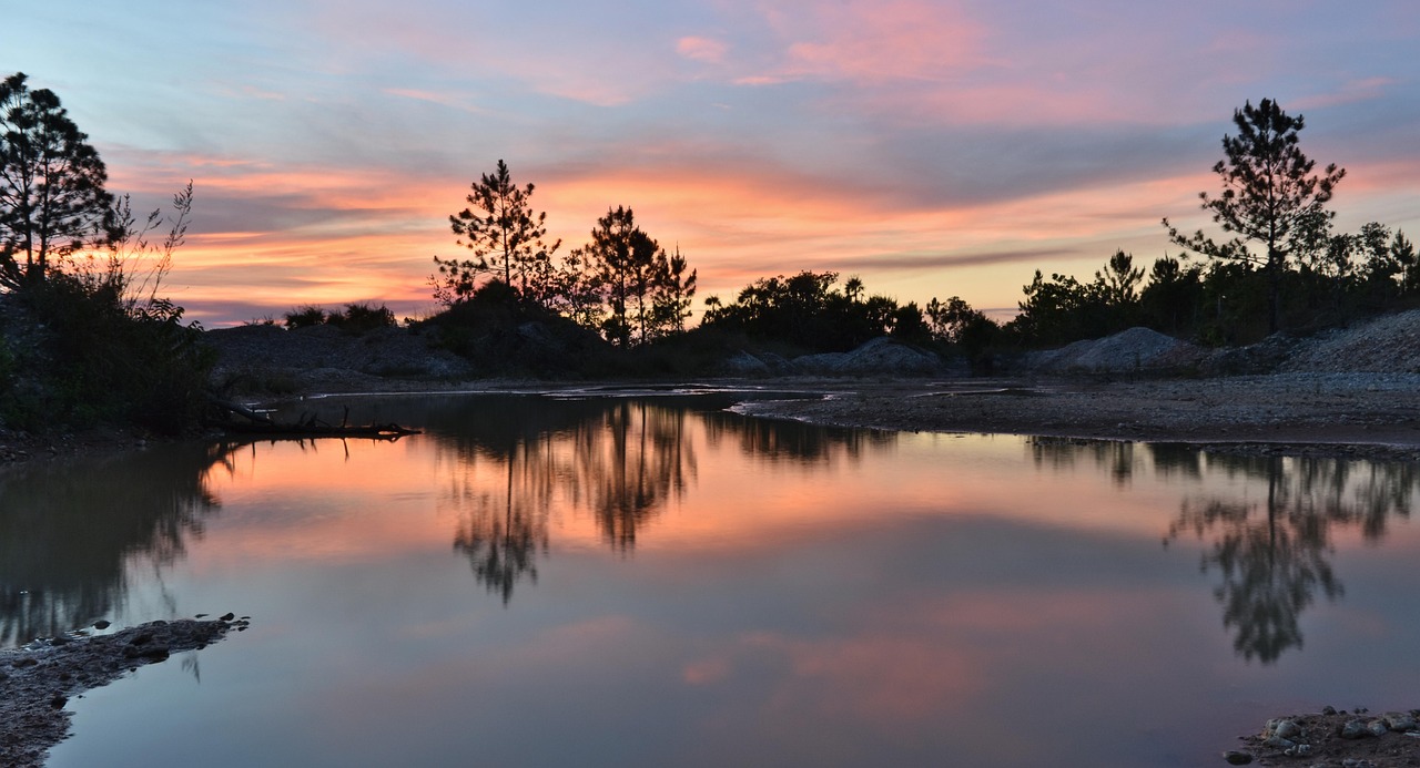 노경은이 다양한 분야에서 활동하는 모습을 담은 이미지
