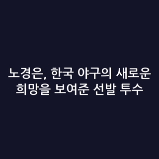 노경은, 한국 야구의 새로운 희망을 보여준 선발 투수