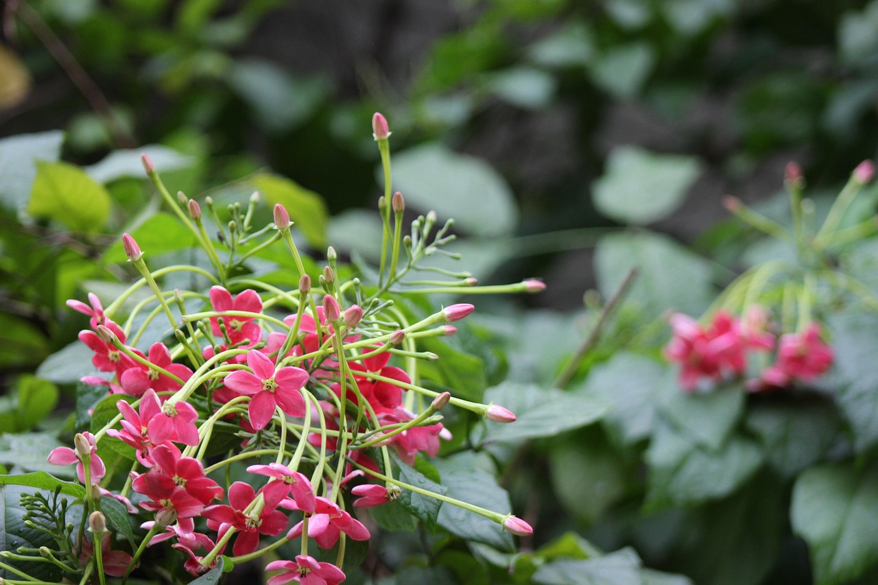 학생들이 등급컷 발표를 기다리며 긴장한 모습의 교실 풍경