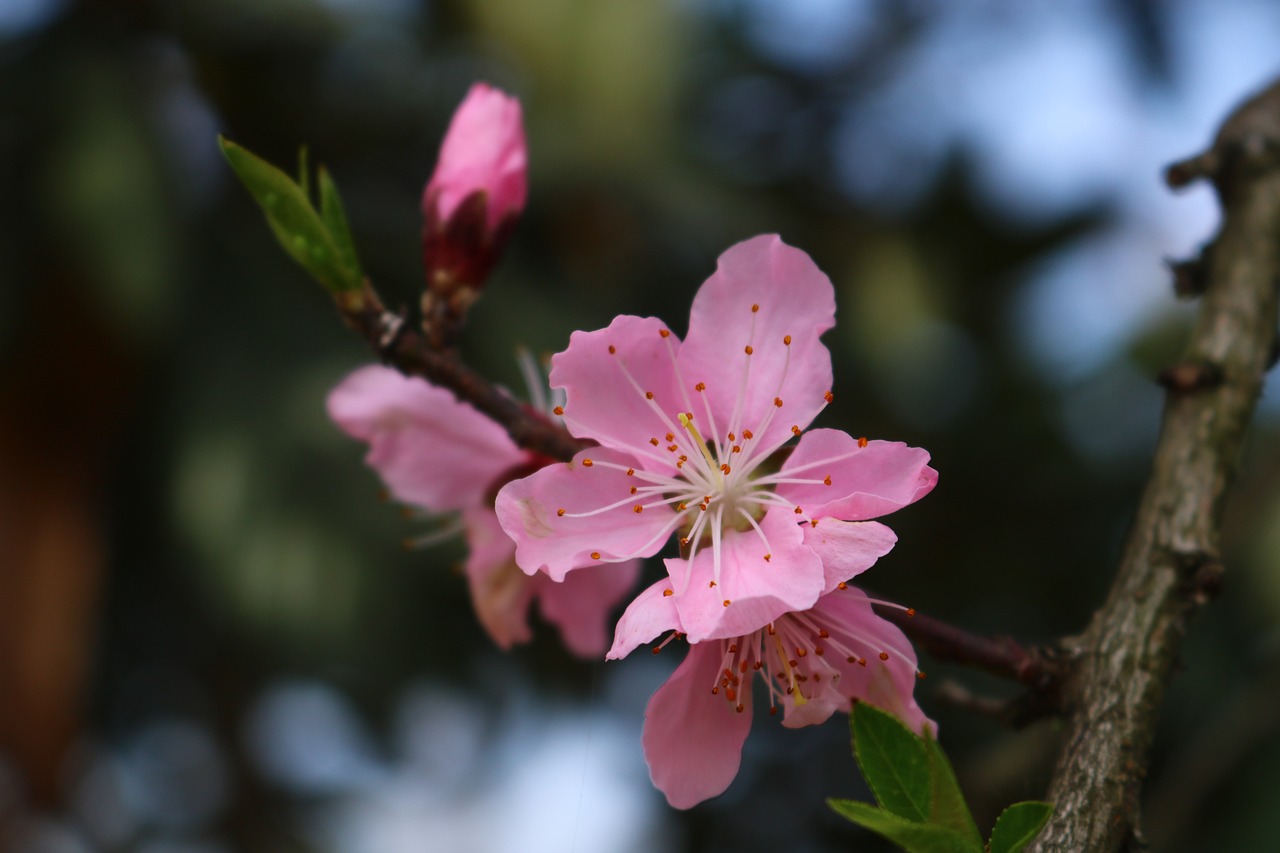 2026 3월 모의고사 시험지와 필기구가 놓여 있는 책상 위 모습