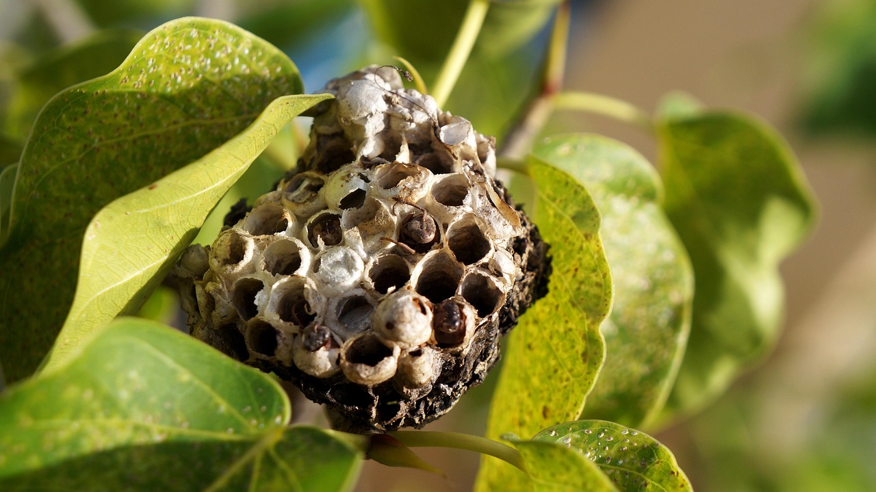 하이브 주가의 최근 변동성을 분석하는 주식 차트와 그래프 이미지