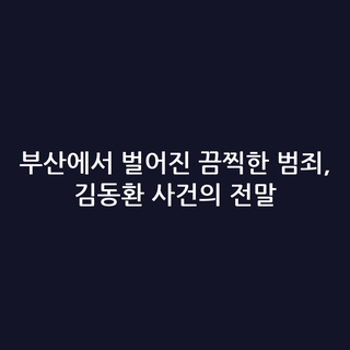 부산에서 벌어진 끔찍한 범죄, 김동환 사건의 전말